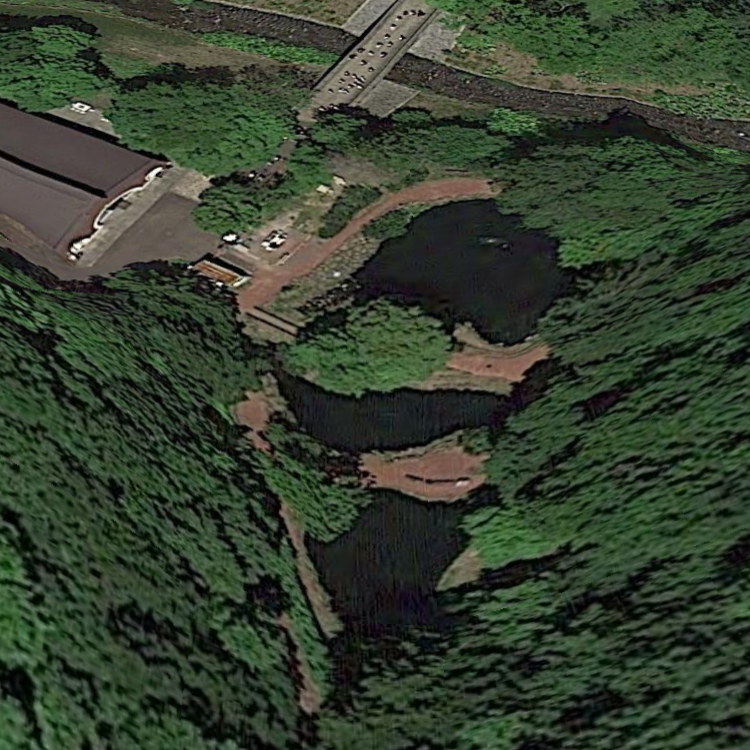 釣り堀フィッシング・タキノ