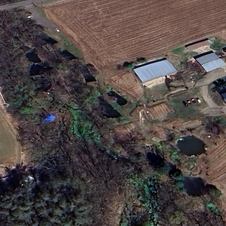 ニセコサーモン釣場