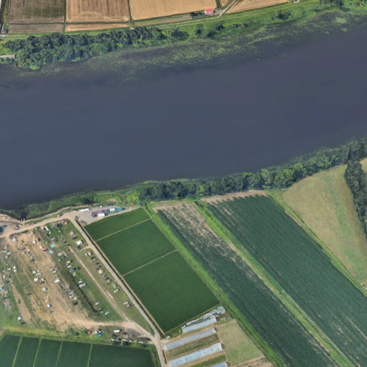 とれた小屋ふじい農場 ワカサギ釣り場