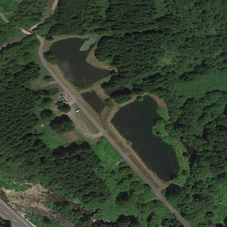 AKAIGAWA TOMO PLAYPARK フィッシング ポンド