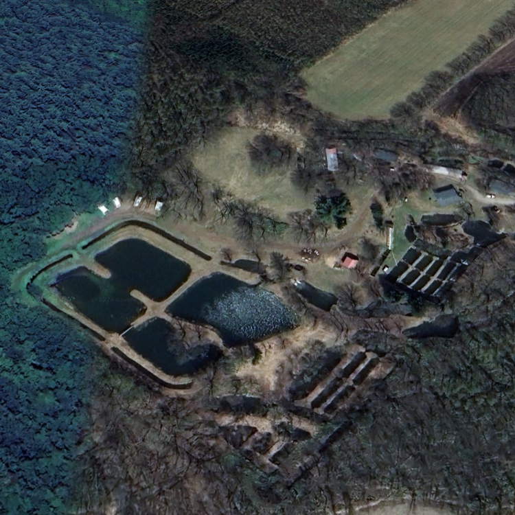 御影の滝 山女魚園