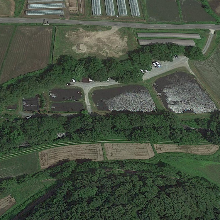 フィッシングエリアウキウキランド