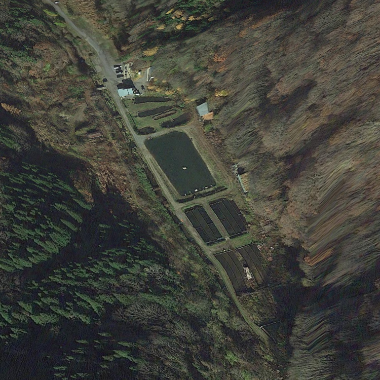 フォレストパークひらかわ