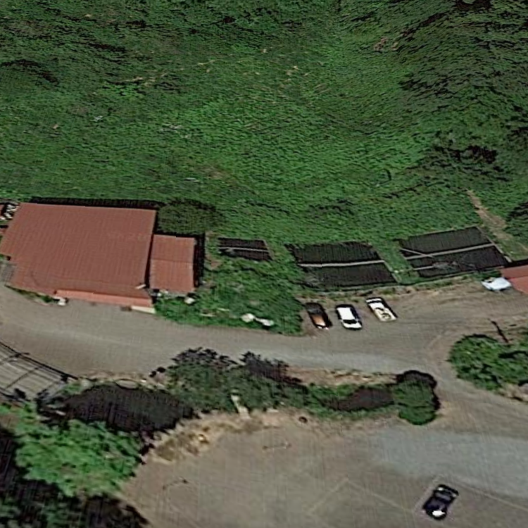 追の沢マス釣場