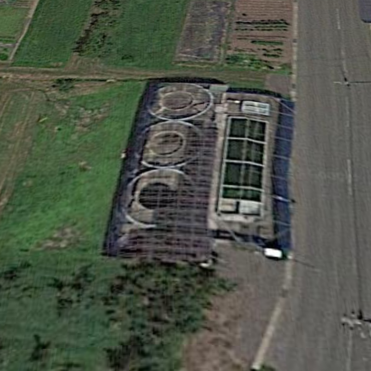 オニテナガエビのつりぼり