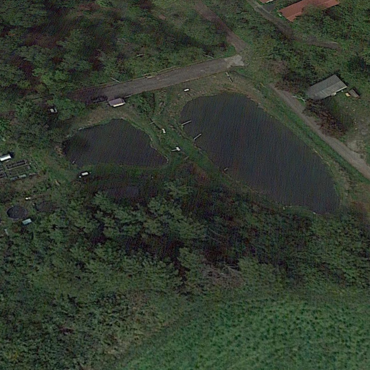 岩姫フィッシング