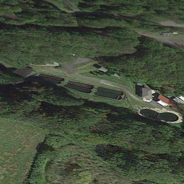 奥中山高原 釣り堀