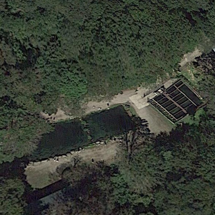 新東北笹谷渓流つり