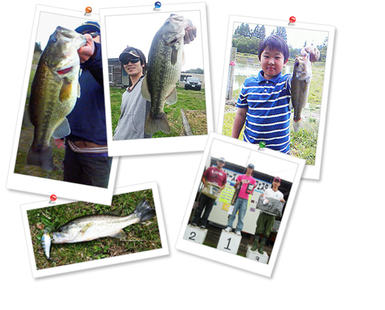 フィッシャーズイン