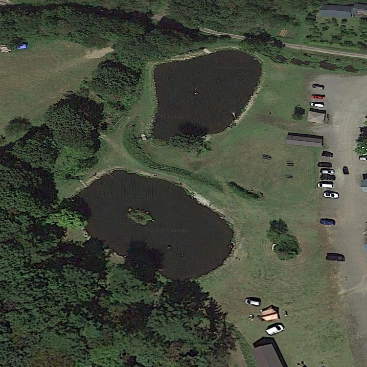 グリーンパーク不忘