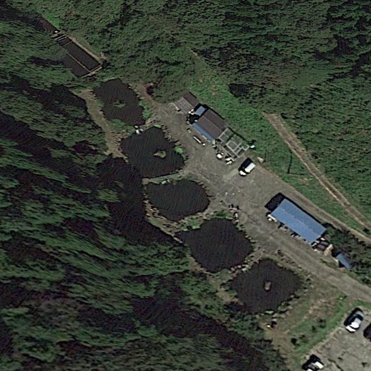 大滝渓流釣り堀