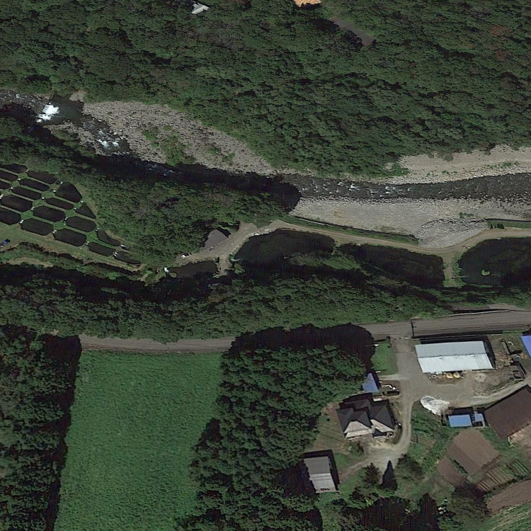 グリーン・ツーリズム 観光漁業 村山つり堀