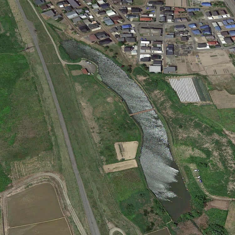 飯田沼 釣り公園