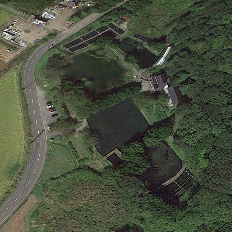 上浜つり堀センター