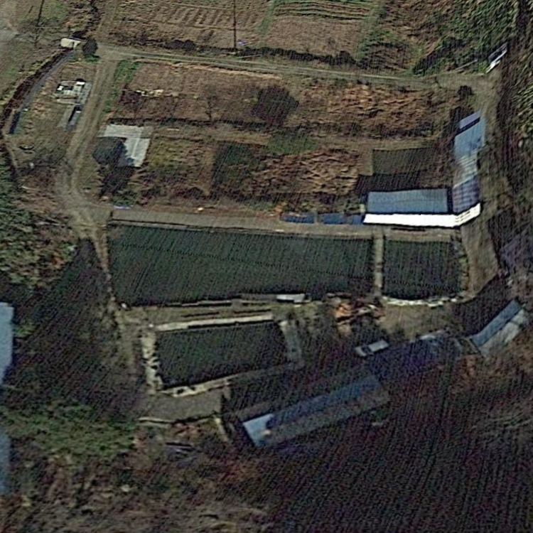 荒井アヤメ園釣り堀BBQ場