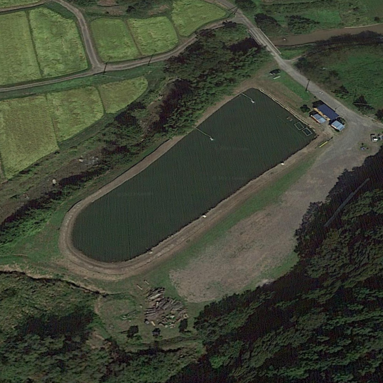 ウエルカムオーパ