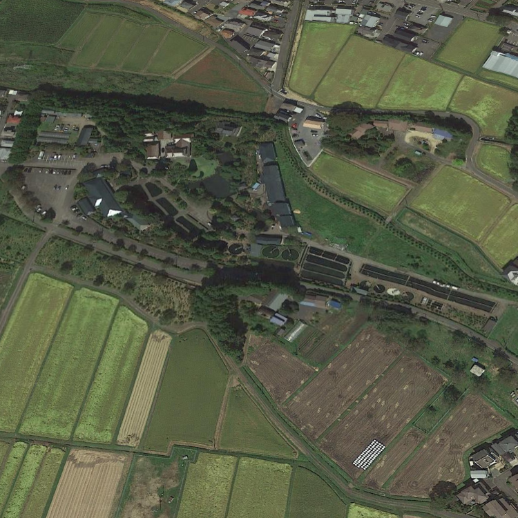 林'養魚場 ますつり公園