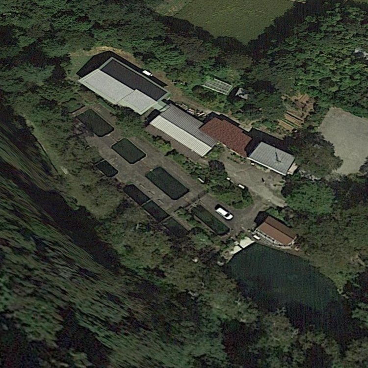 赤坂パラダイス