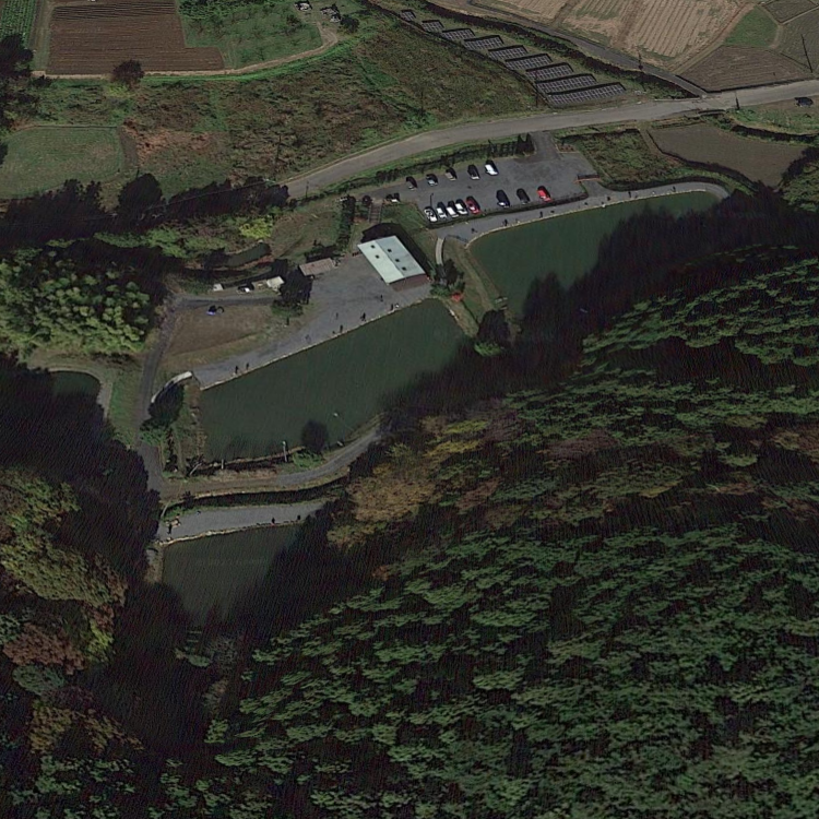 ミッドクリークフィッシングエリア