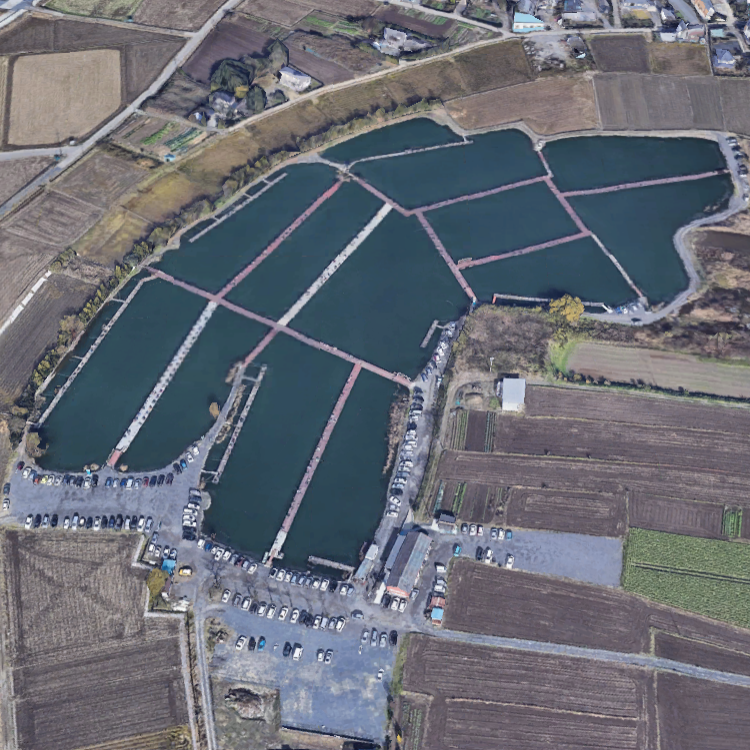 筑波流源湖 釣り堀