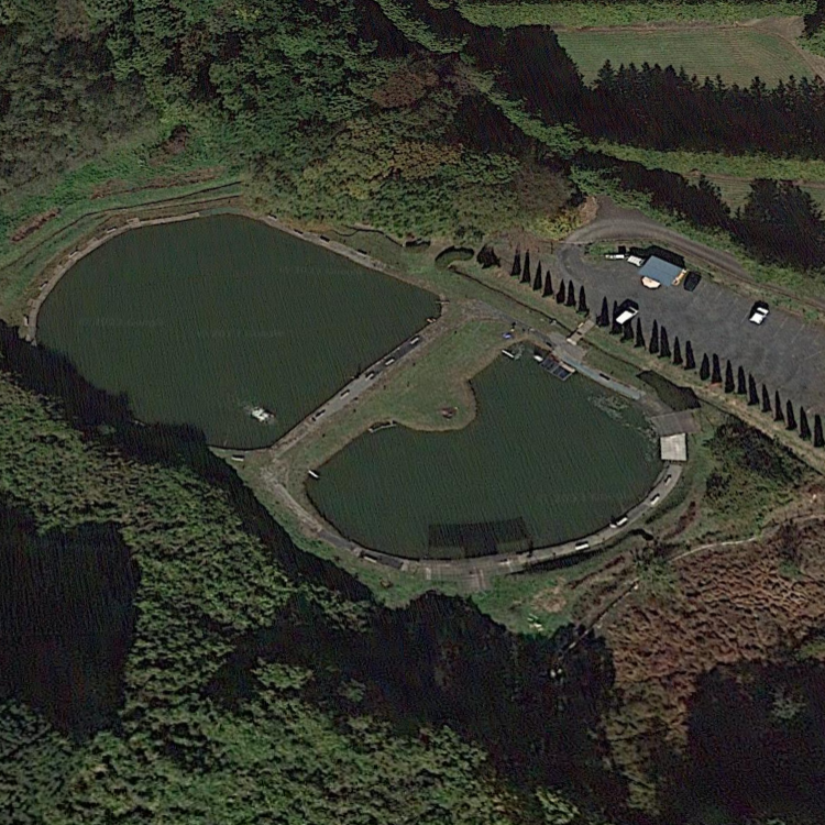 フィッシングＤｏＤｏｏ