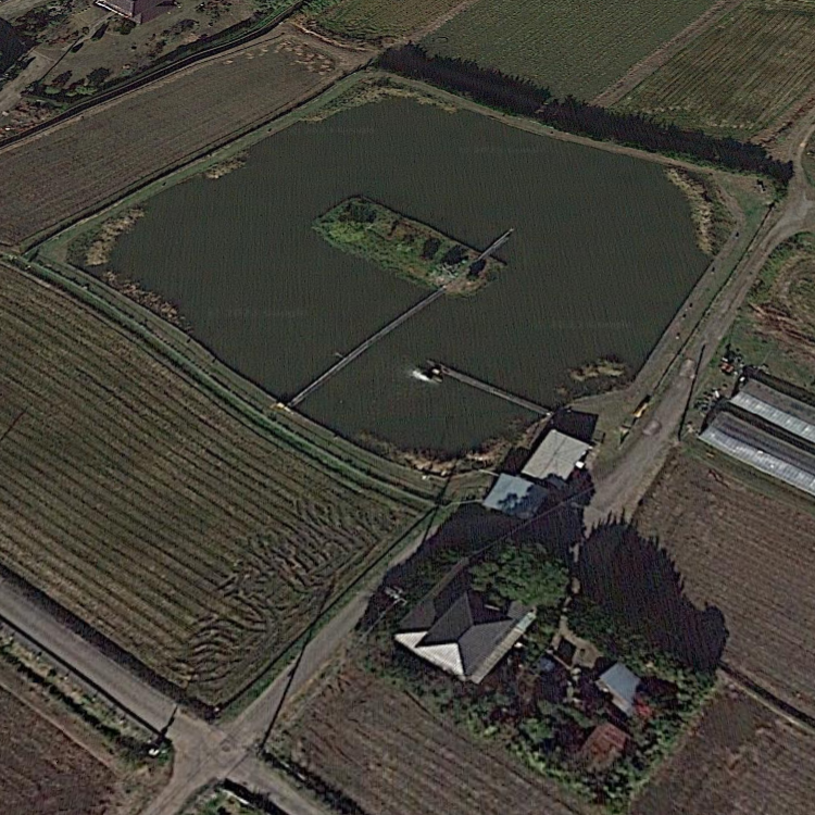 潮来マリーナ 富士見池 第一池