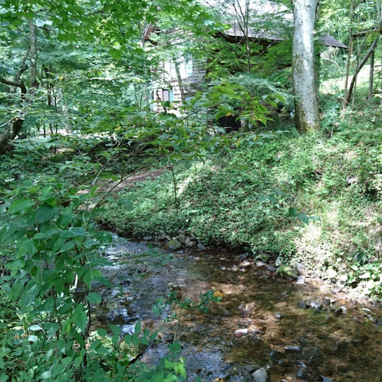 つりぼり芳山荘