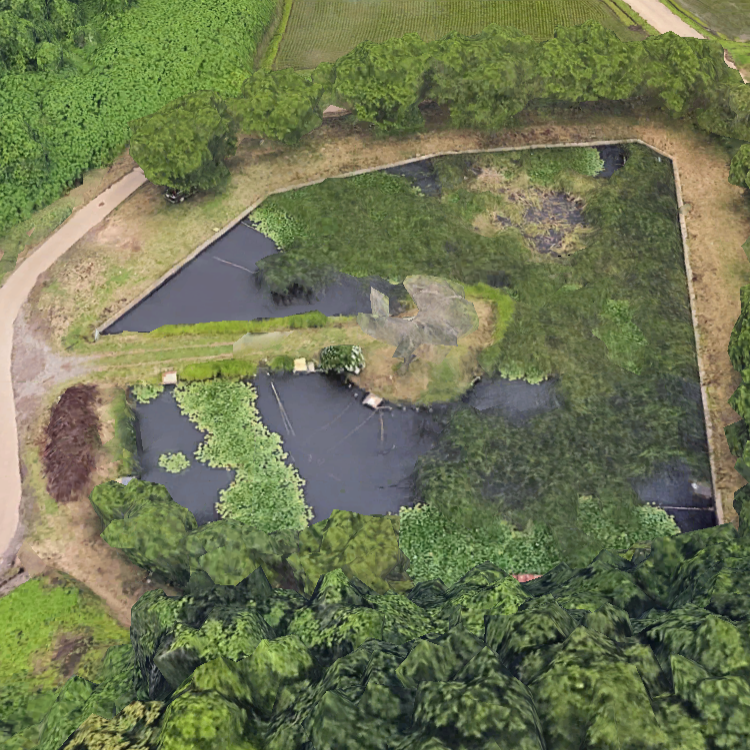 一杯館池（花室池）