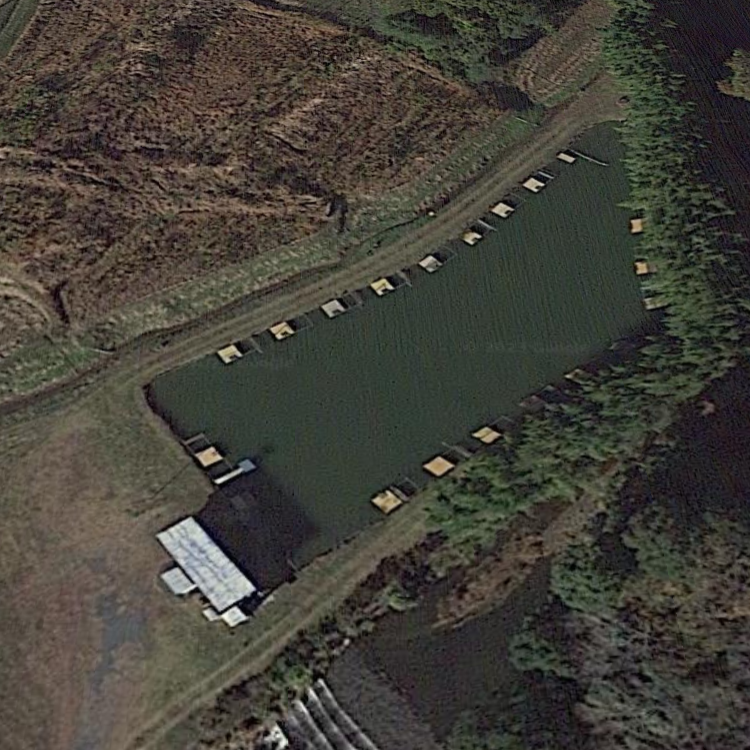 へらセンター緒川