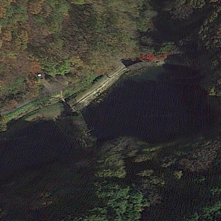 若栗フィッシングの森