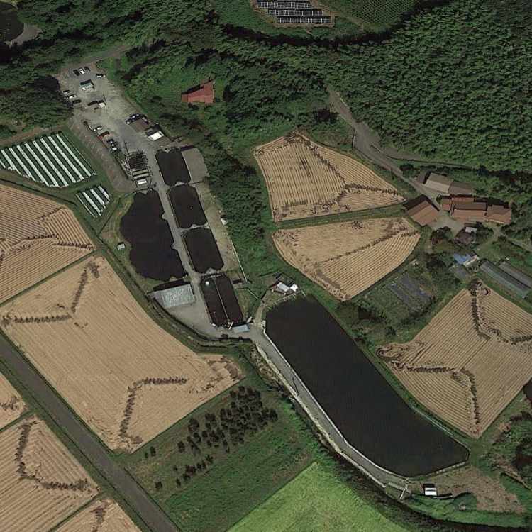 アングラーズパークキングフィッシャー