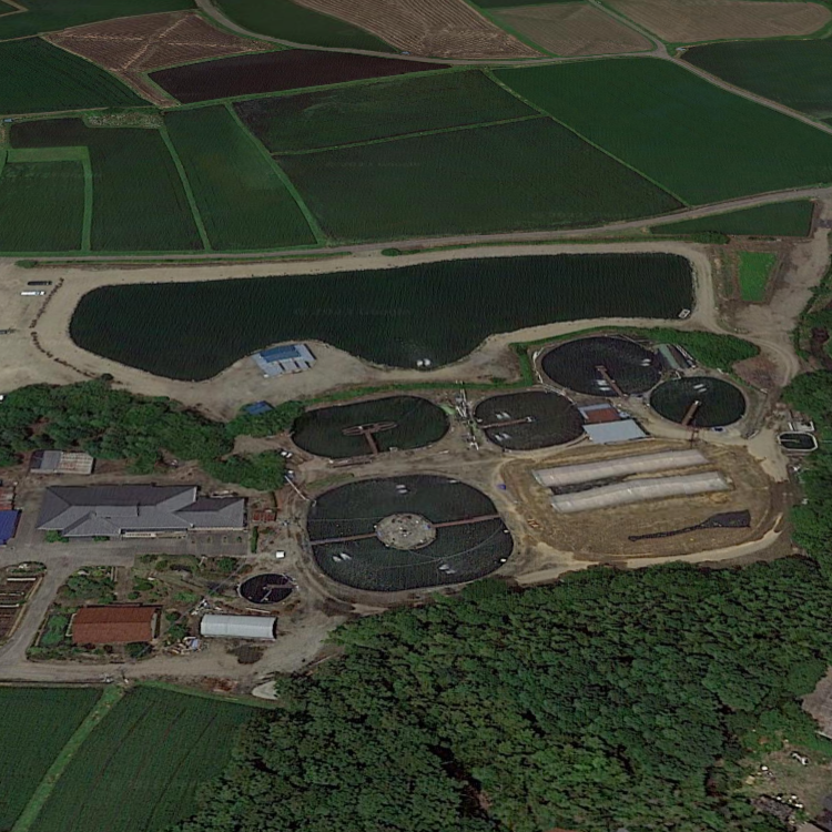 みどりフィッシングエリア