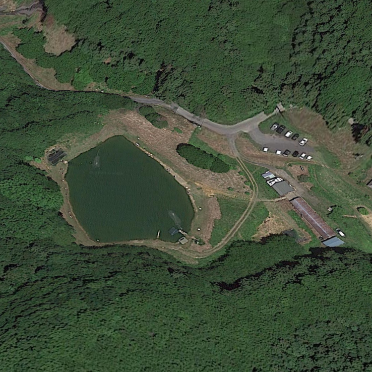 柏倉フィッシングパーク