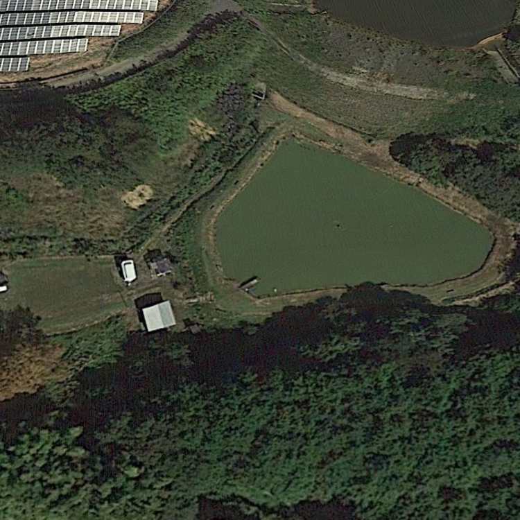 片平フィッシングエリア