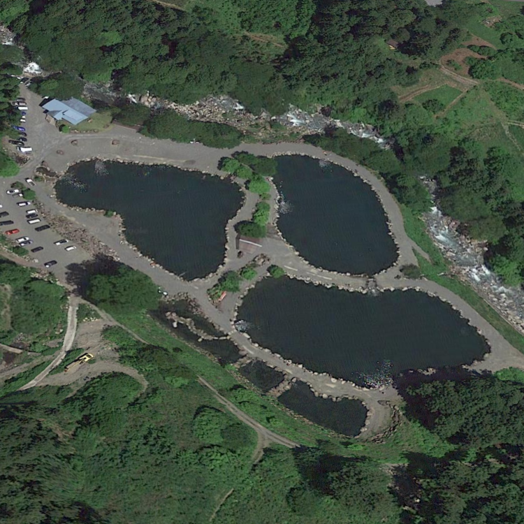 アウトドアビレッジ発光路の森フィッシングエリア