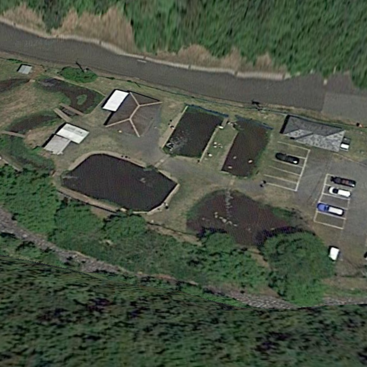 蓬山フイッシング事業組合