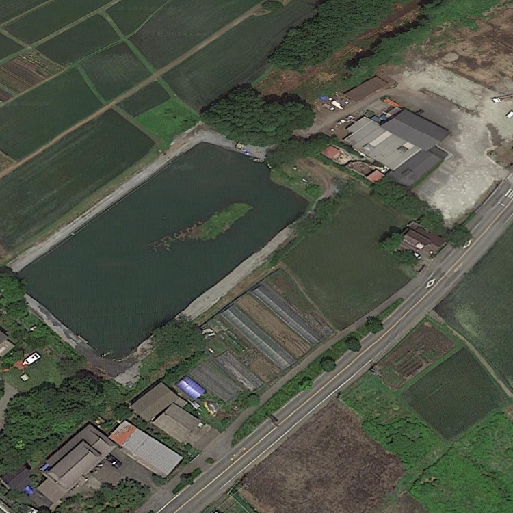 東照温泉釣り堀