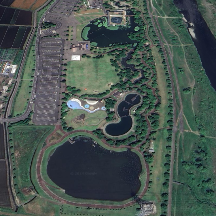 マス、ザリガニ釣り池