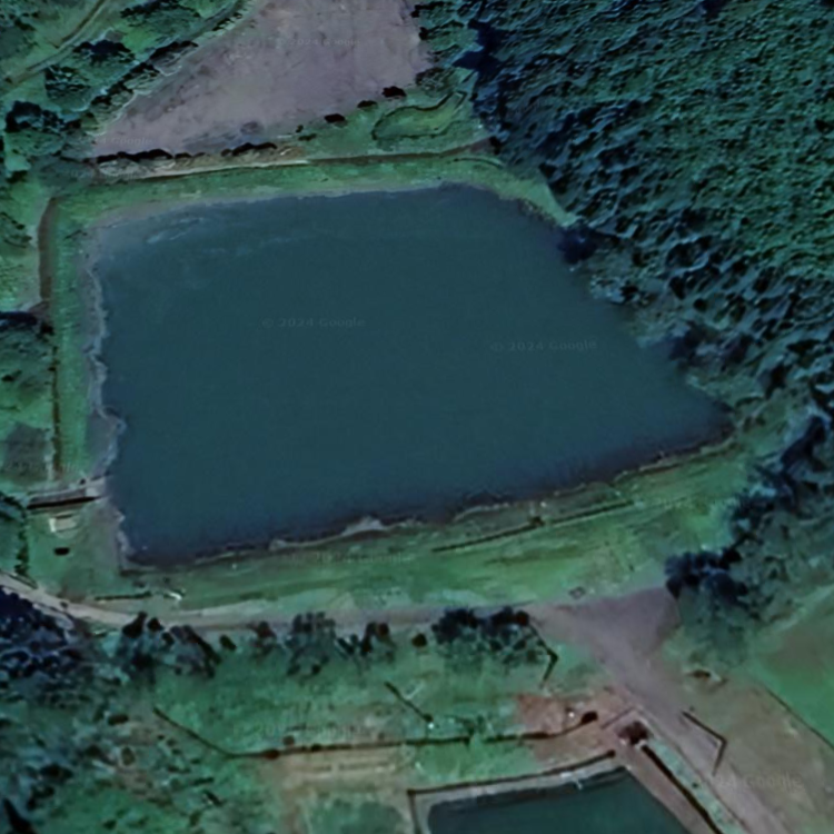 えんの溜ふれあいの里 釣り池