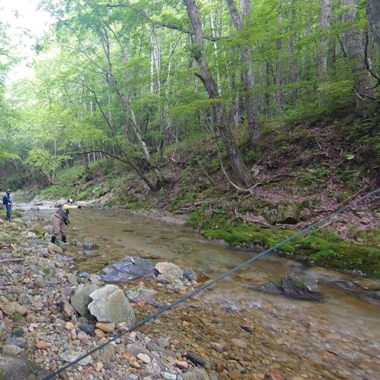 三依地区テンカラ専用キャッチ&リリース区間