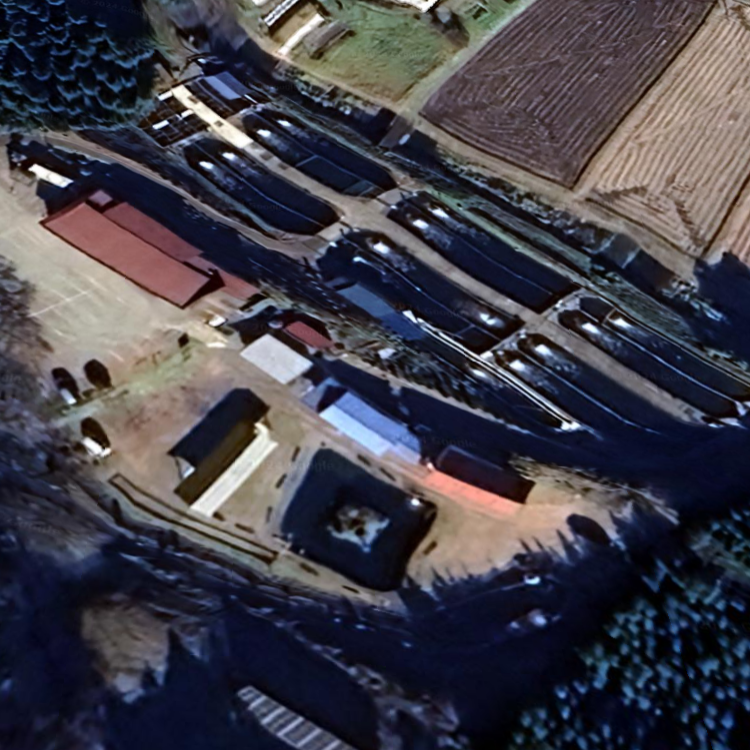 マス唐揚げ金精川のます池