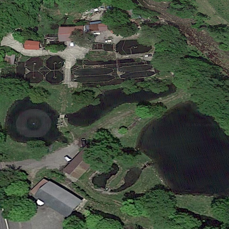 食事処 大滝（旧栗山つりセンター）