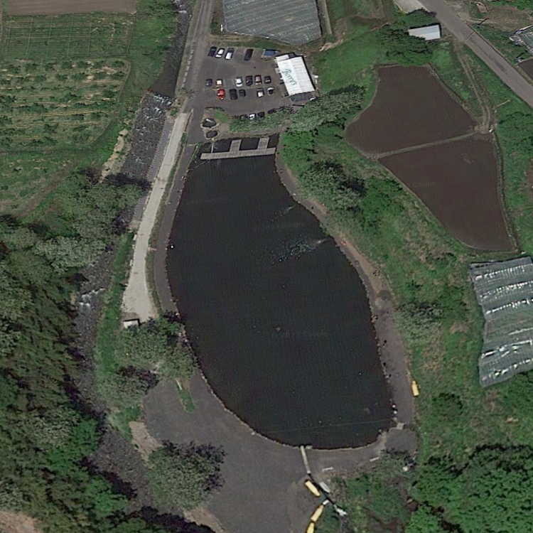 フィッシングポイントベリーズ迦葉山