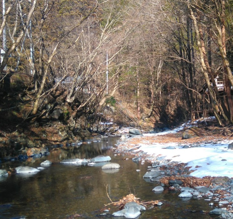 シャロムの森（渓流釣り場）