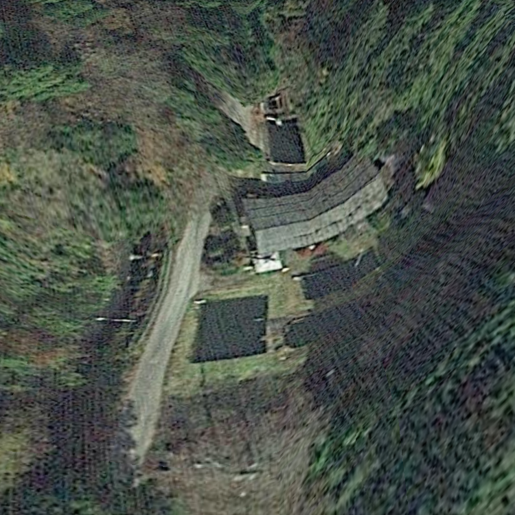 国際ます釣りセンター