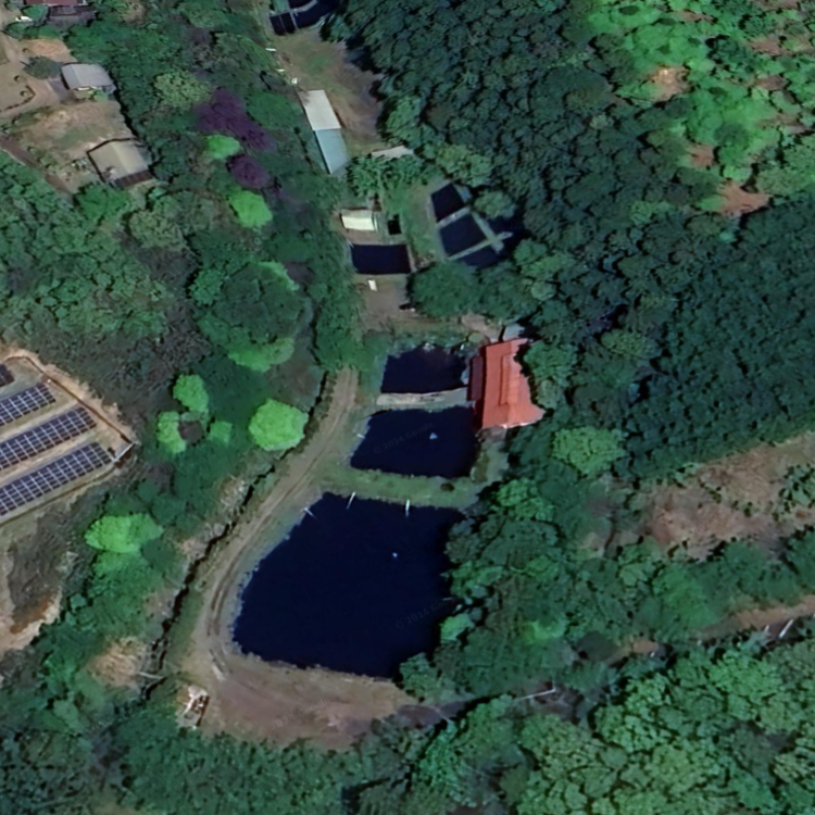 フィッシングエリア清流の里