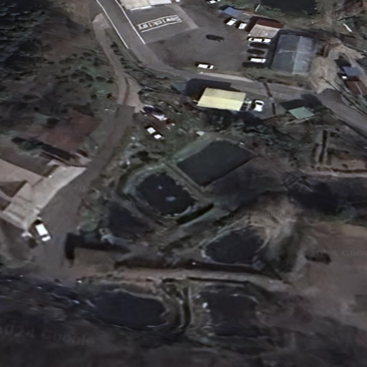 あづま養魚場 釣り堀