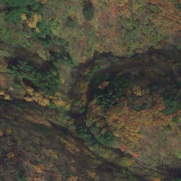 本谷・中ノ沢毛ばり釣り専用区