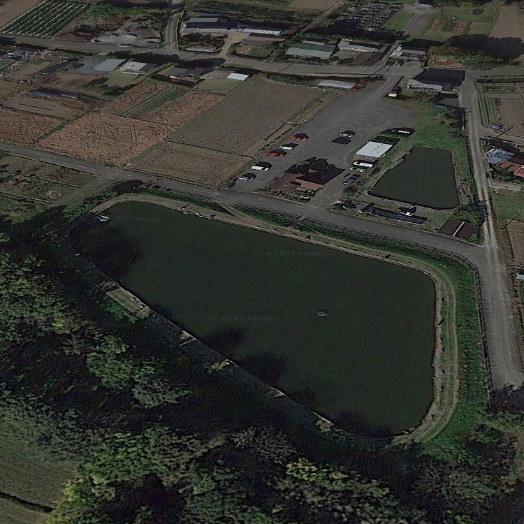 フィッシングフィールド川越