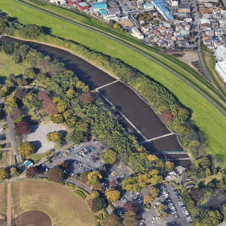 彩湖・道満グリーンパーク 金魚つり場